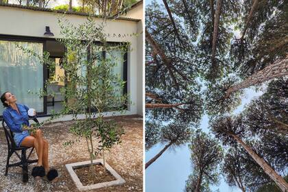 “Si bien llené el patio de verde, me gustaría armar una linda terraza y diseñar mejor la iluminación”, admite la dueña de casa.