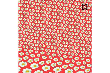 Si bien se parecen en el color y la forma, los contorno y pliegues de los elementos los hacen diferentes