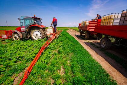 Si bien Serbia no es parte de la Unión Europea, igual tiene tratados de libre comercio, por lo que importa libre de aranceles del bloque