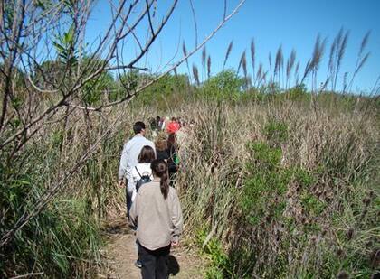 Si el plan es pasarla bien fuera de casa, una visita guiada por la Reserva ecológica puede ser una gran opción.