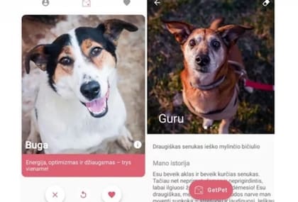 Si el usuario desea una mascota deberá deslizar a la derecha y si no a la izquierda para buscar otro perro.