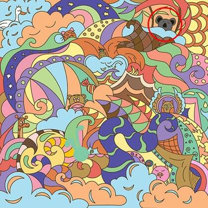 Si encontrás un koala primero probablemente tengas una personalidad muy linda y tierna.