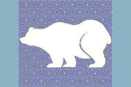 ¡Sí, es un oso! ¿Lo habías descubierto?