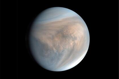 "Si hay vida en Venus, es una especie de vida de tipo microbiano, y es casi seguro que reside dentro de las partículas de las nubes", dijo Seager