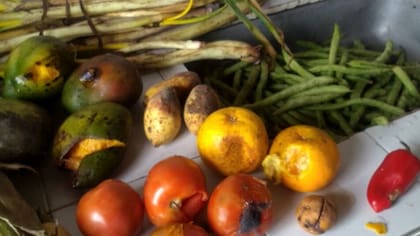 Si las verduras no se conservan bien, pueden echarse a perder antes de lo previsto