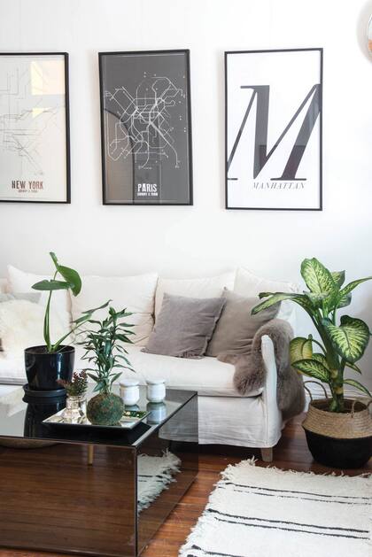 Si no se ajusta adecuadamente la frecuencia del riego, las plantas de interior pueden sufrir tanto por exceso como por falta de agua