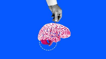 Si nos obligamos a concentrarnos cuando estamos cansados, nuestro cerebro puede quedarse atascado en un nivel más alto, lo que dificulta el sueño.