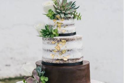 Sí, parecen de verdad… ¡pero no lo son!