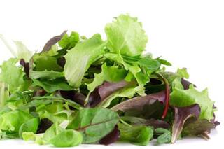 Por estos motivos la lechuga pasó a costar $500