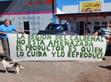 Si prospera el proyecto de ley se expropiarían más 108.000 hectáreas en el departamento Loventué