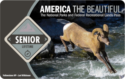 Si se cubre un pase d eparques nacionales, deben estar visibles los elementos de seguridad (nps.gov)