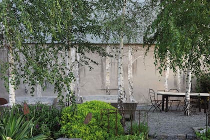 Si se destruye total o parcialmente la medianera, quien lo demuele debe reconstruirlo con las mismas características