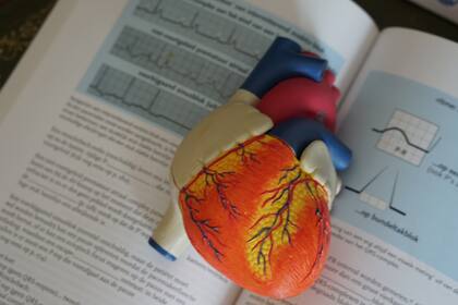 Si se identifican cambios en la capacidad para realizar actividades cotidianas, es importante consultar al médico, ya que cuanto antes se detecte el problema, más rápido se puede tratar (Archivo)