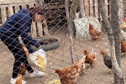 Si tiene que elegir entre el campo y el pueblo, More elige el campo y estar con los animales. "Es más tranquilo acá", dice