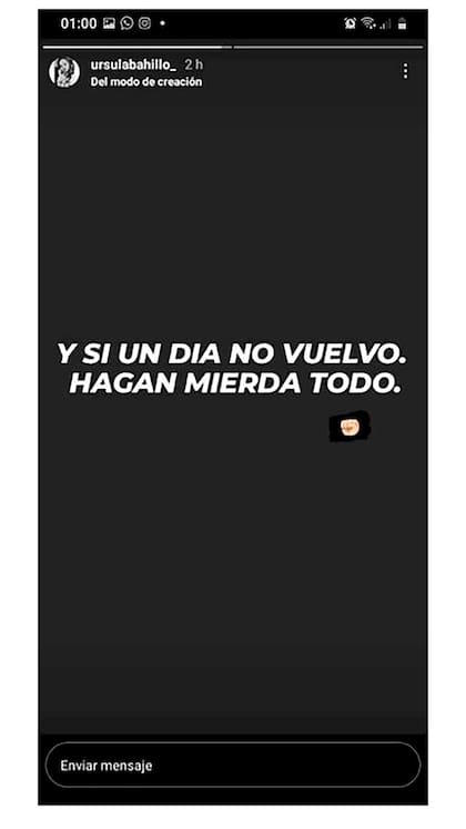"Si un día no vuelvo hagan mierda todo", escribió en una story en Instagram horas antes de morir