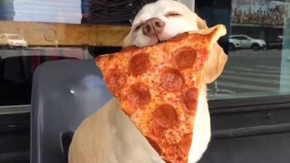 Sid, amante de la pizza