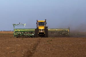 Agricultura en la pampa húmeda: una tarea titánica para gerentes financieros