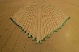 Soja: ¿hacia otro ciclo ajustado?