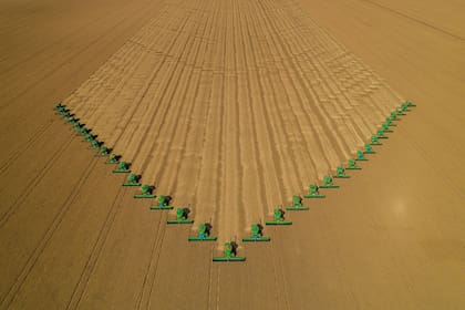 Si analizamos los precios de exportación comparativos de los tres principales países exportadores de soja, Brasil y Estados Unidos los dos más importantes, vemos que los precios son muy similares, y no se confirma la baja esperada en los valores de la soja de Brasil en función de su cosecha récord