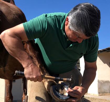 Siempre inculca a sus alumnos la importancia de cuidar los cascos de los caballos, porque eso le alarga la vida útil y le mejora performance 