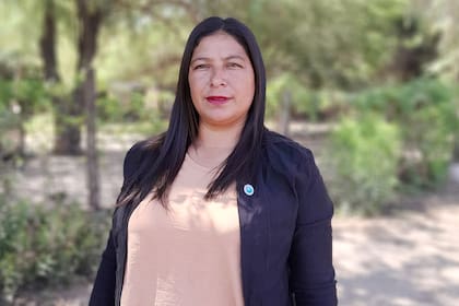 "Siento que el trabajo que realizamos los docentes de las escuelas rurales pudo trascender las fronteras de la adversidad y ser valorado", dijo a LA NACION tras quedar como finalista