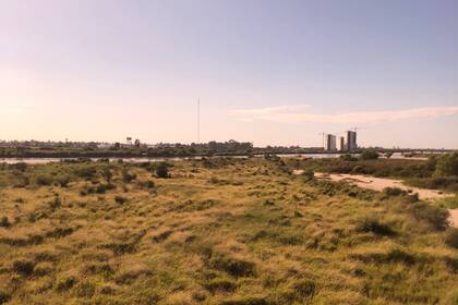 Paisaje santiagueño a la hora de la siesta
