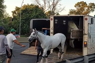Chocaron tres vehículos en la General Paz: uno de ellos transportaba siete caballos