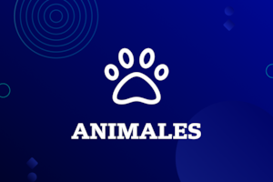Significado de sueños según los animales y números para loterías y quinielas