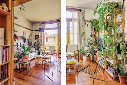 Sillón de dos cuerpos (La Decorería) e individual rescatado de la calle y retapizado. Silla (Taller Ferro). Biblioteca de saligna hecha a medida. Mesas de centro (Intervista).