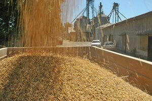 La Aduana les reclama U$50 millones a cuatro cerealeras