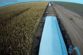 Kahneman se sube al tractor: retenciones, sesgos cognitivos y desencanto en el campo