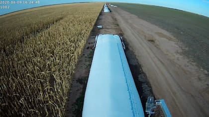 “Si apenas el 2% de esa producción se tokeniza con eWarrants, se habilitaría financiamiento por millones de dólares que hoy no se están canalizando”, indicó Laplacette