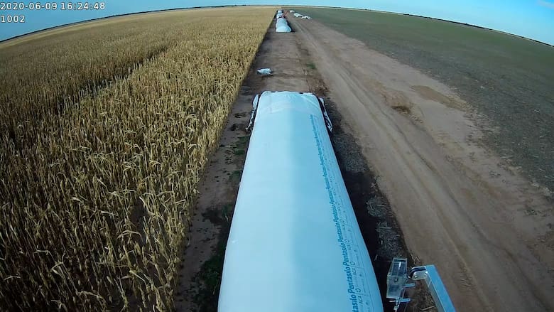 impulso al agro
