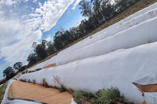 Destrucción reiterada de silobolsas