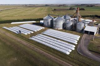 Empresas agropecuarias: las tres etapas de la planificación fiscal