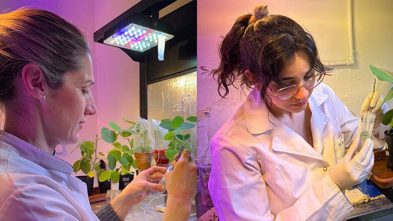 "Somos los primeros del mundo en editar biofertilizantes”: el plan de Nicolás Ayub para revolucionar la soja