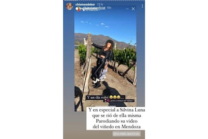 Silvina Luna bromeó en su Instagram acerca de su video íntimo