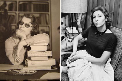 Silvina Ocampo y Clarice Lispector también figuran en la lista de las compras de libros para las escuelas