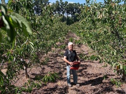 Simón Beroiza es el dueño de Chacra 6 Hermanas.