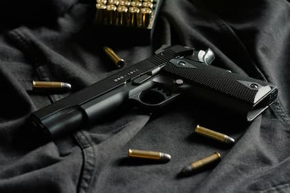 Simplifican el trámite para la transferencia de armas entre usuarios legítimos.