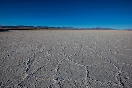 Sin controles económicos, ambientales o sociales sólidos, las multinacionales se lo llevan con altísimas tasas de beneficio.