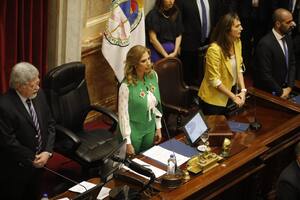 Con Cristina Kirchner ausente, debutó el nuevo bloque peronista en el Senado