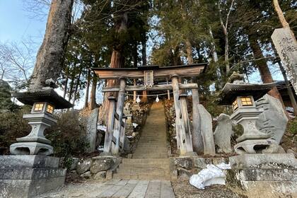 Sin el turismo, pudieron disfrutar de los paseos de manera especial.