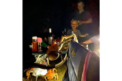 Sin invitación, los cangrejos se suben a la mesa de camping de esta familia en Australia