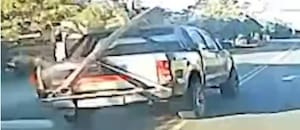 Hacía maniobras peligrosas sin patente en la ruta 11 y le quitaron la licencia de conducir