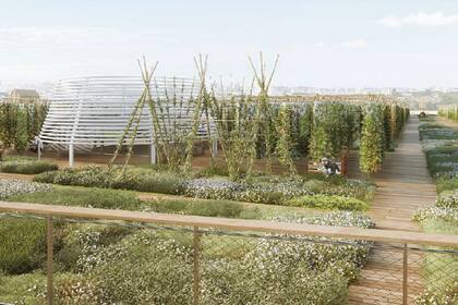 Sin pesticidas ni agroquímicos, Agripolis utilizará un sistema de cultivo vertical para producir sus frutas y verduras al aire libre