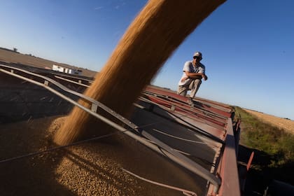 Finalizó la baja temporal de retenciones y productores sostienen que la presión fiscal es "asfixiante"