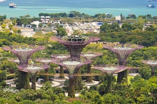 Cómo se importa en los países más integrados