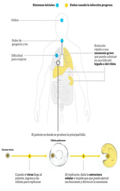 Síntomas del coronavirus
