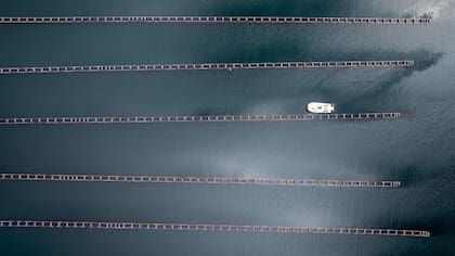 Sistema cultivo de mejillones en Tierra del Fuego